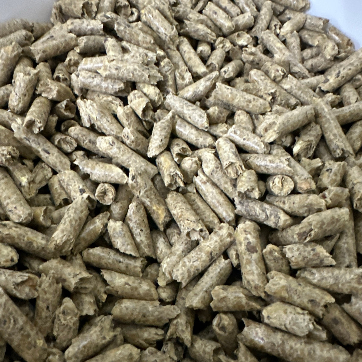 Absolute Shrimp Snow Food